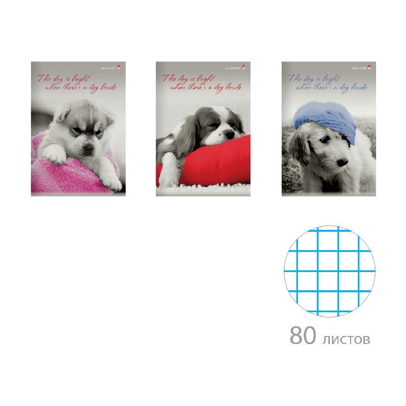 ТЕТРАДЬ А4, 80Л. КЛ. "ЩЕНКИ.КОНТРАСТЫ" 3 ВИДА