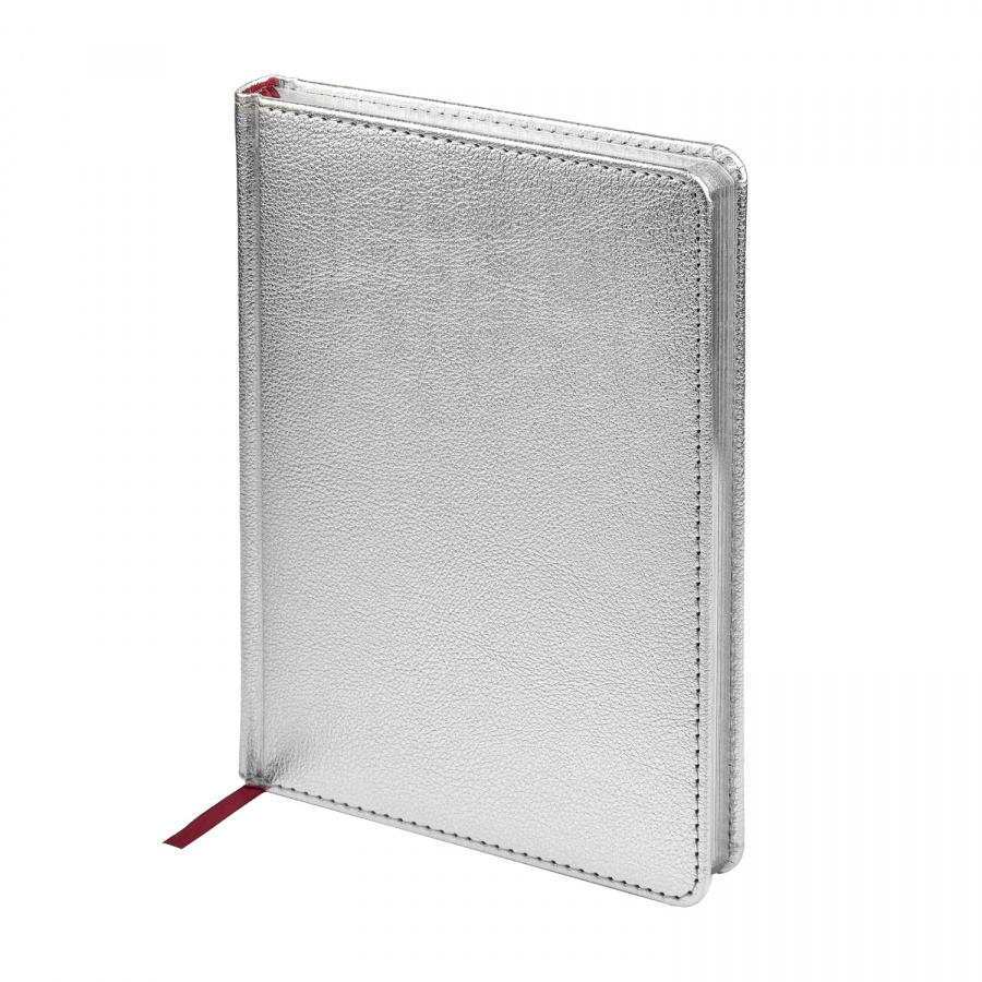 картинка Ежедневник BrunoVisconti® недатированный А5 (146 х 206 мм) "SIDNEY NEBRASKA" серебро 272 стр. Арт. 3-128/10 обложка в ассортименте от бренда Bruno Visconti